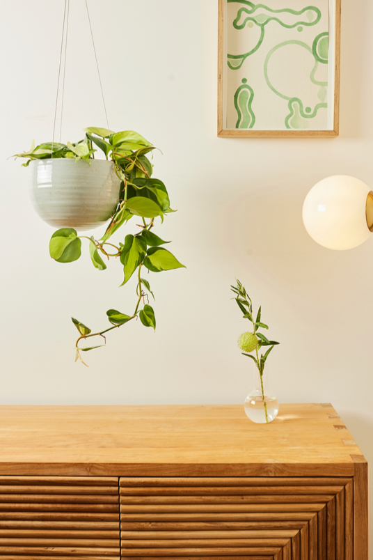 Spherical Hanging Planter
Grey Crackle by Angus & Celeste hanging above a wooden credenza and housing a philodendron hanging plant.