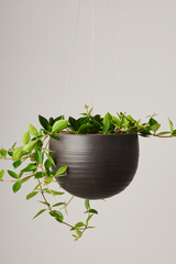 Spherical Hanging Planter
Smooth Matt Black by Angus & Celeste hanging with a plant inside.