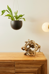 Spherical Hanging Planter
Smooth Matt Black by Angus & Celeste hanging above a wooden piece of furniture and ghost wood with a plant inside the pot.