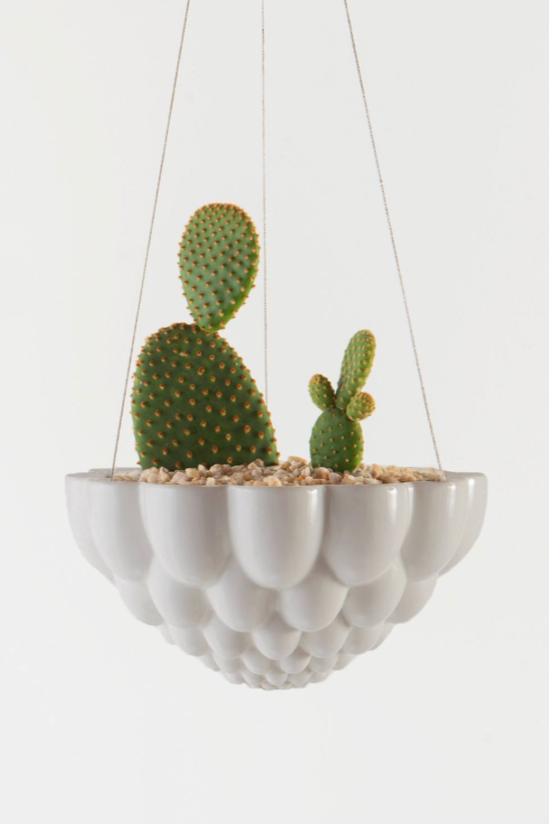 Angus & Celeste grey Jelly hanging planter planted with some cactus.