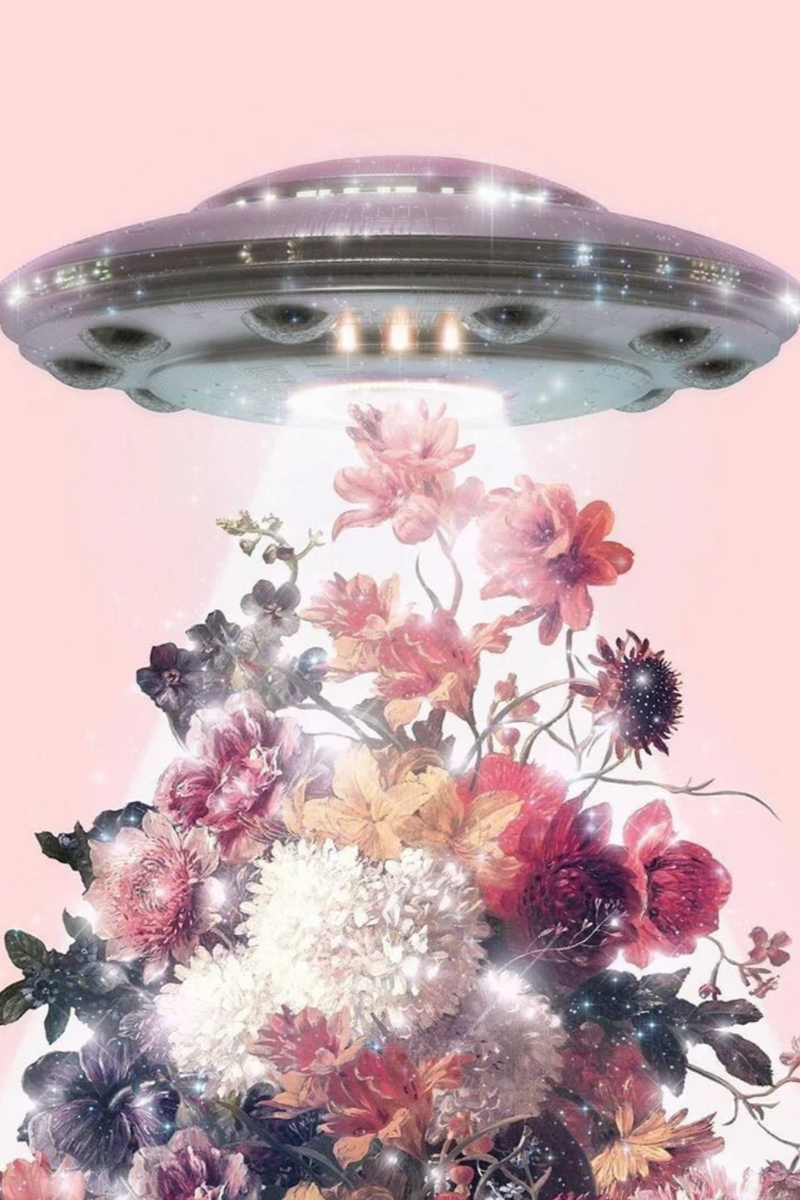 An image from Blackbird of a UFO taking in flowers as a symbol of their Poppy Incense.