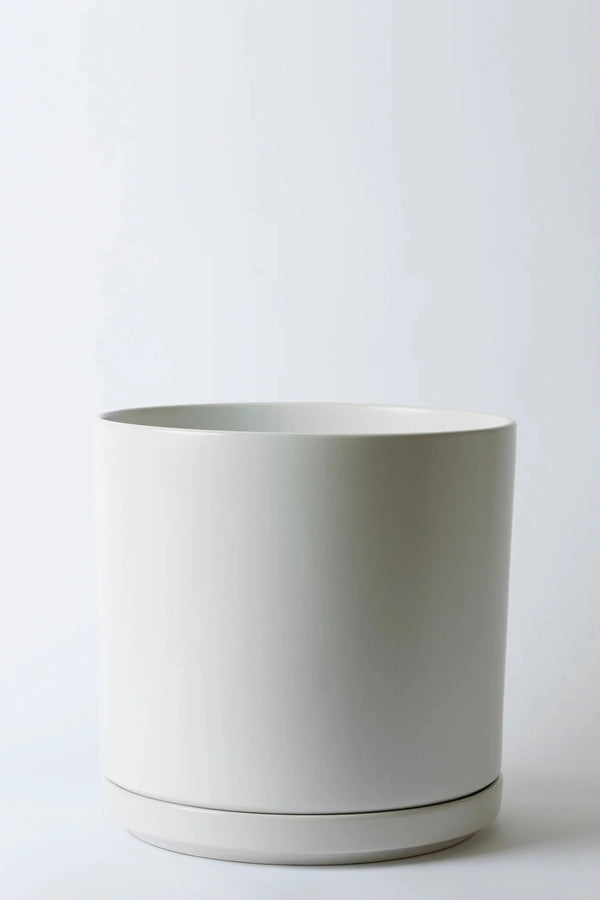 LBE Design Solid Goods cylinder and saucer in white 