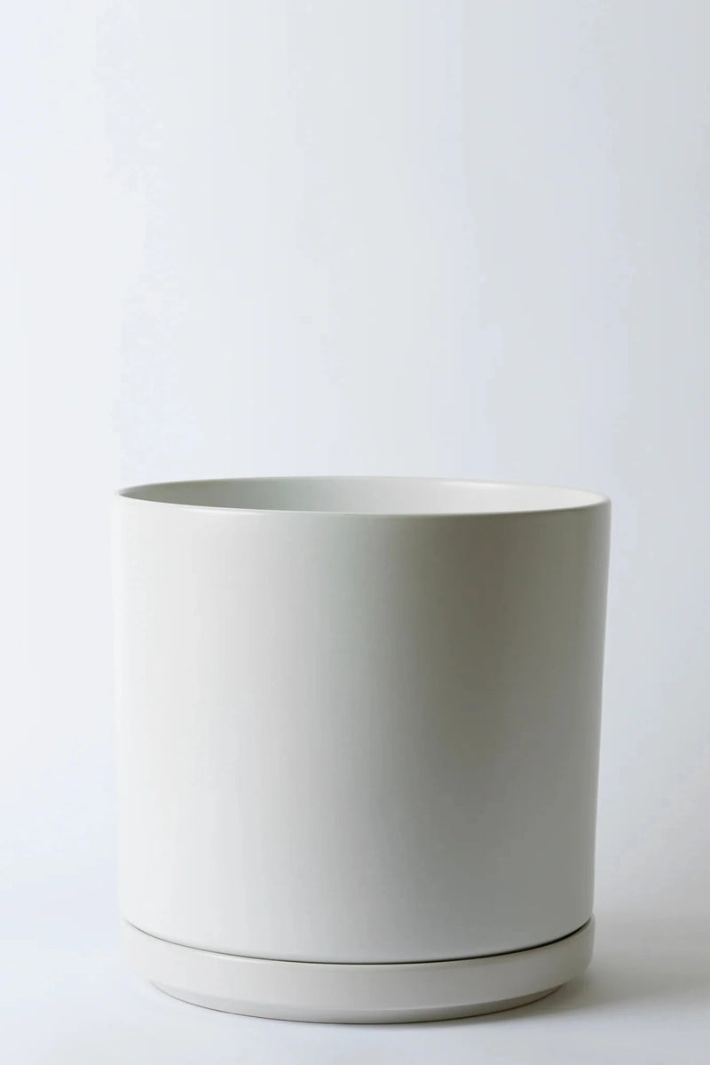 LBE Design Solid Goods cylinder and saucer in white 