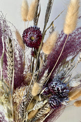 Detail picture of preserved material used in 'stardust' custom dried arrangement by Sprout Home. 