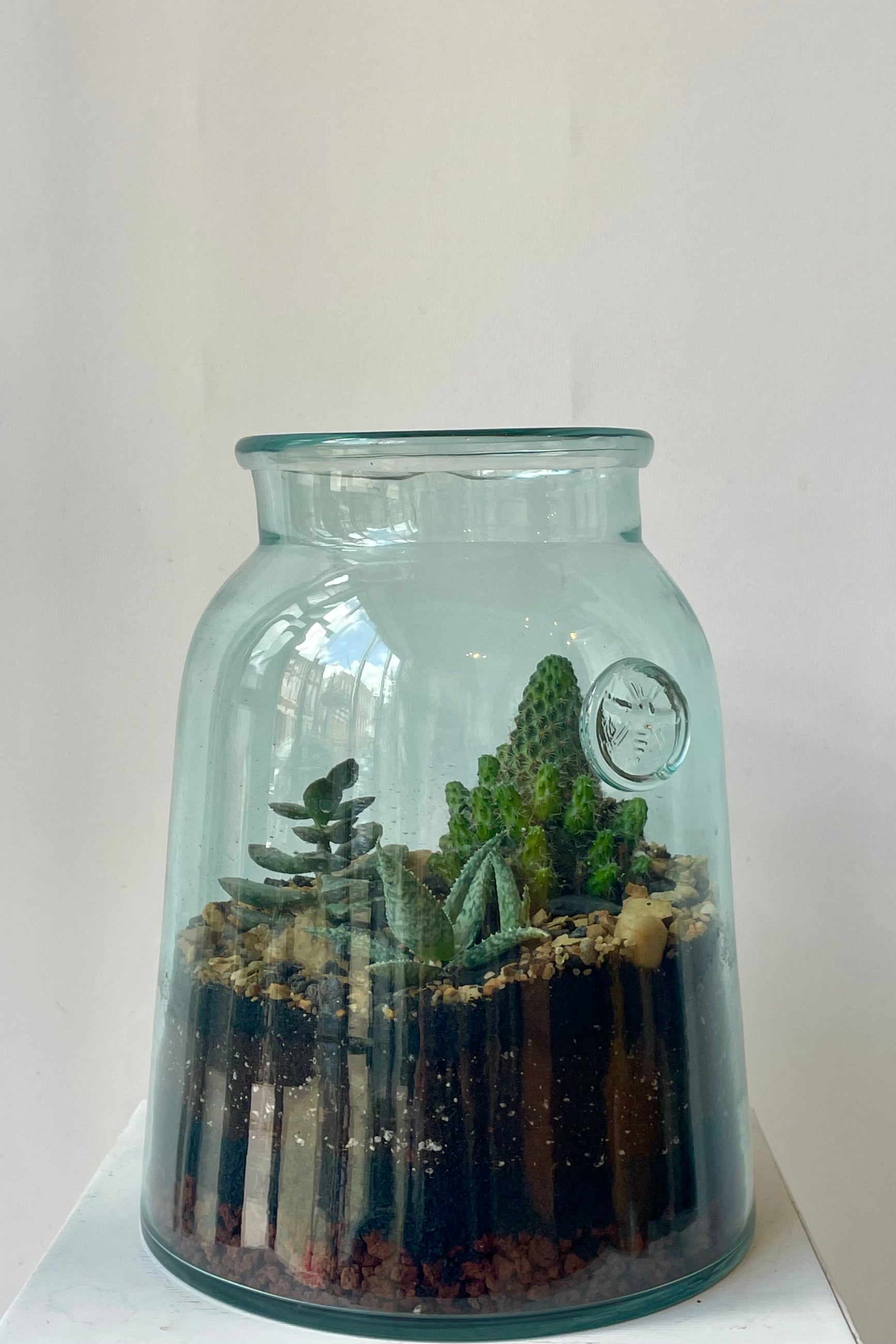 A glass terrarium in a white room planted with green succulent plants ©Sprout Home