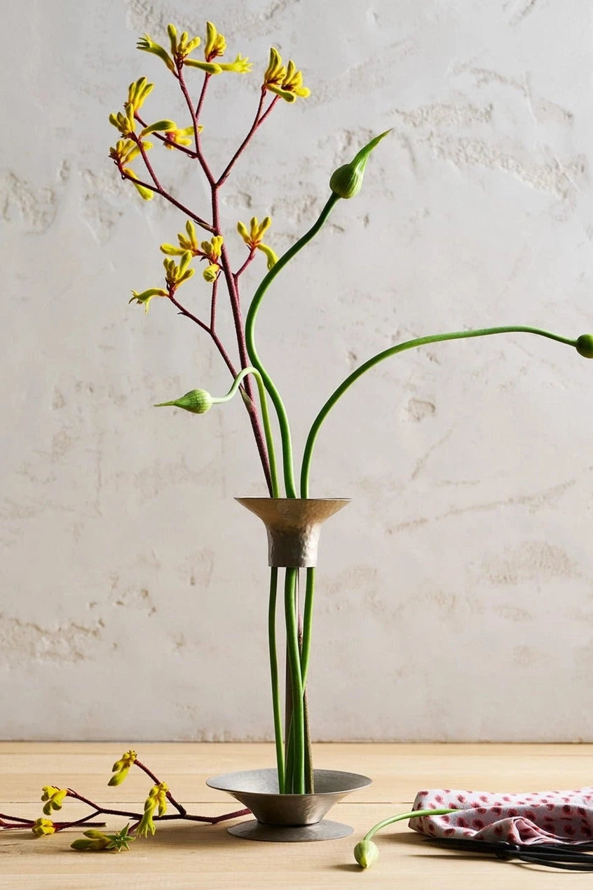 The tall Floral Stem holder by The Collective with a kangaroo paw and allium inside. 