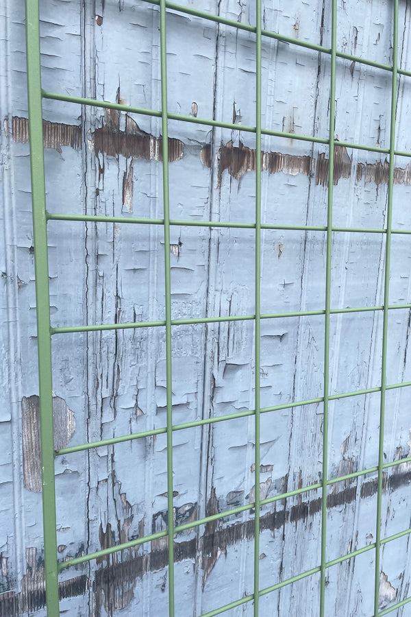 A detailed view of Screen Trellis Wide Romaine against wooden backdrop