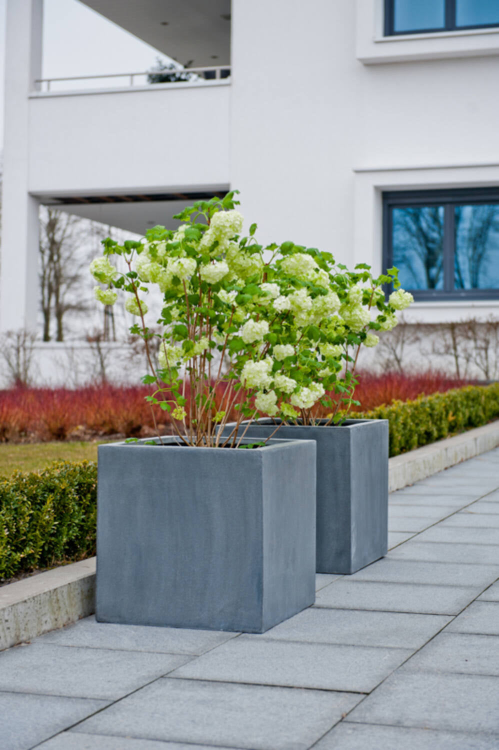 Two Block Grey XL planters with flowering plants on a sidewalk in front of a building. ©Pottery Pots