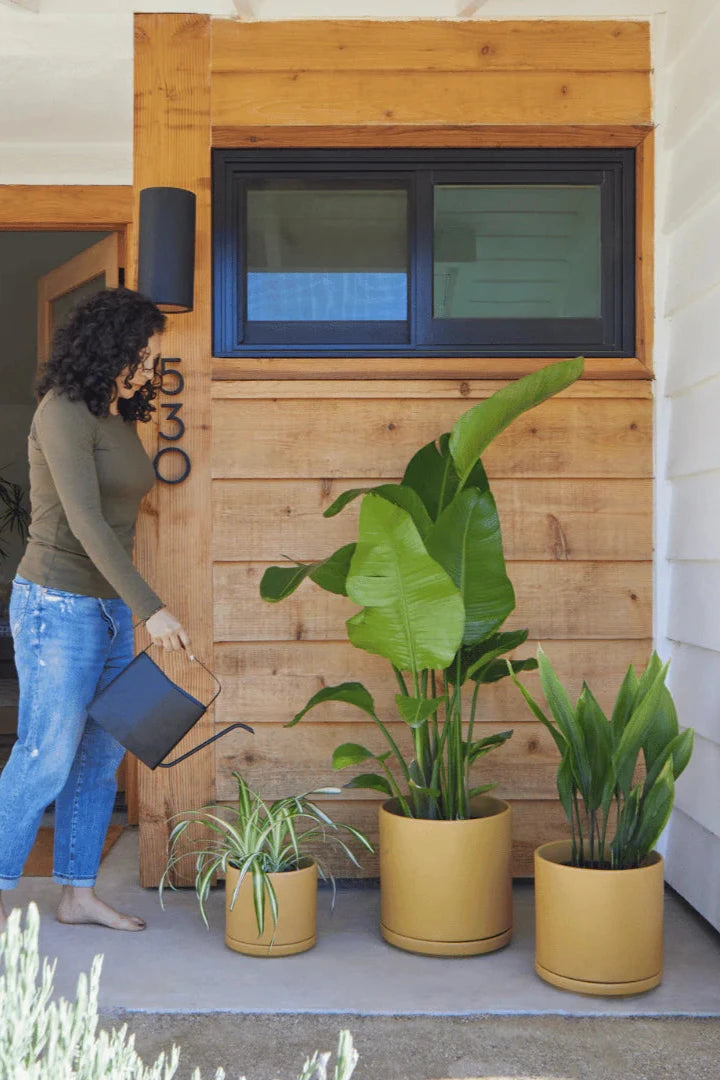 A person watering three different sizes of potted Mustard LBE Design Solid Goods Ceramic cylinder pots and saucers.