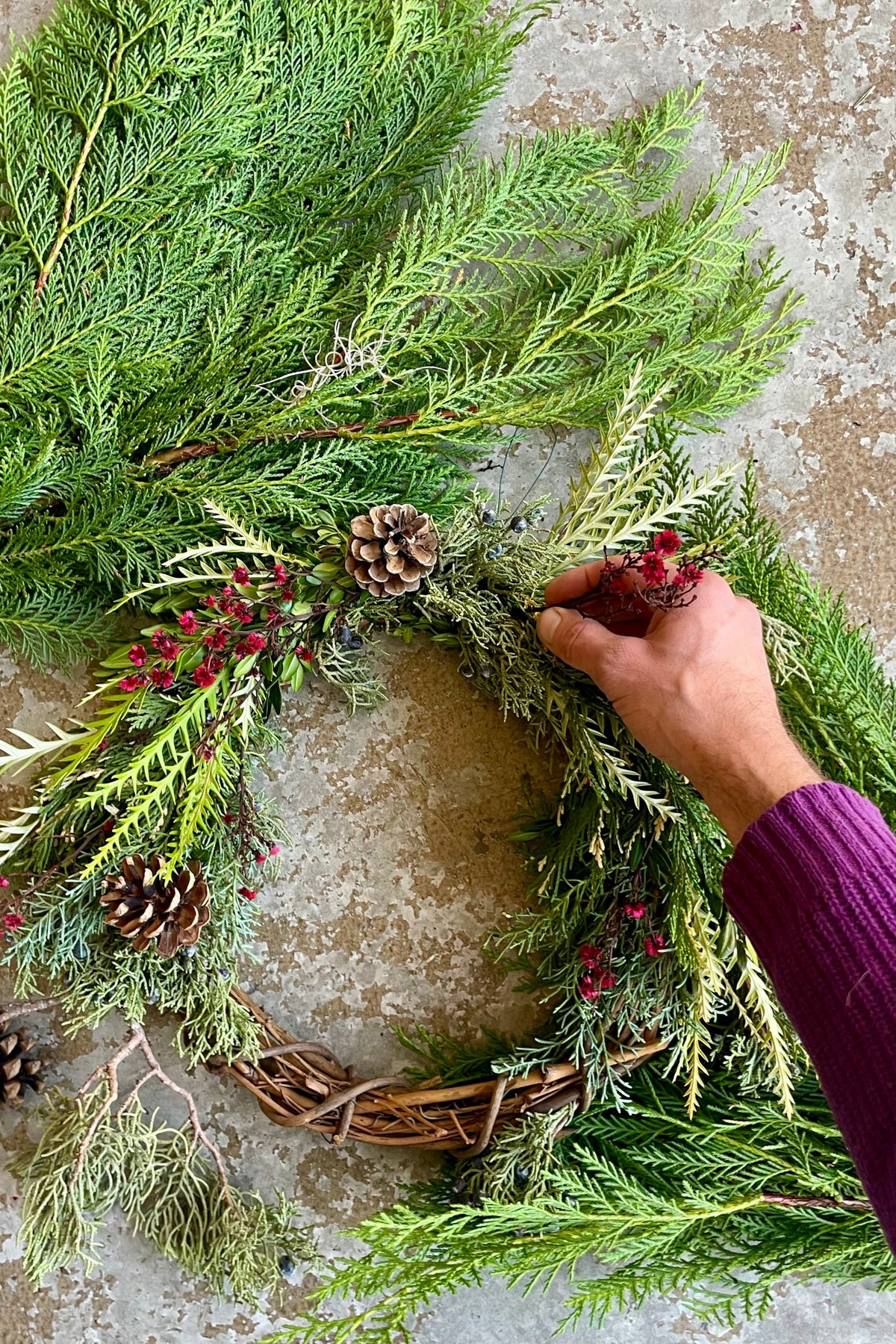 A hand arranging a small evergreen wreath with pinecones and red berries ©Sprout Home