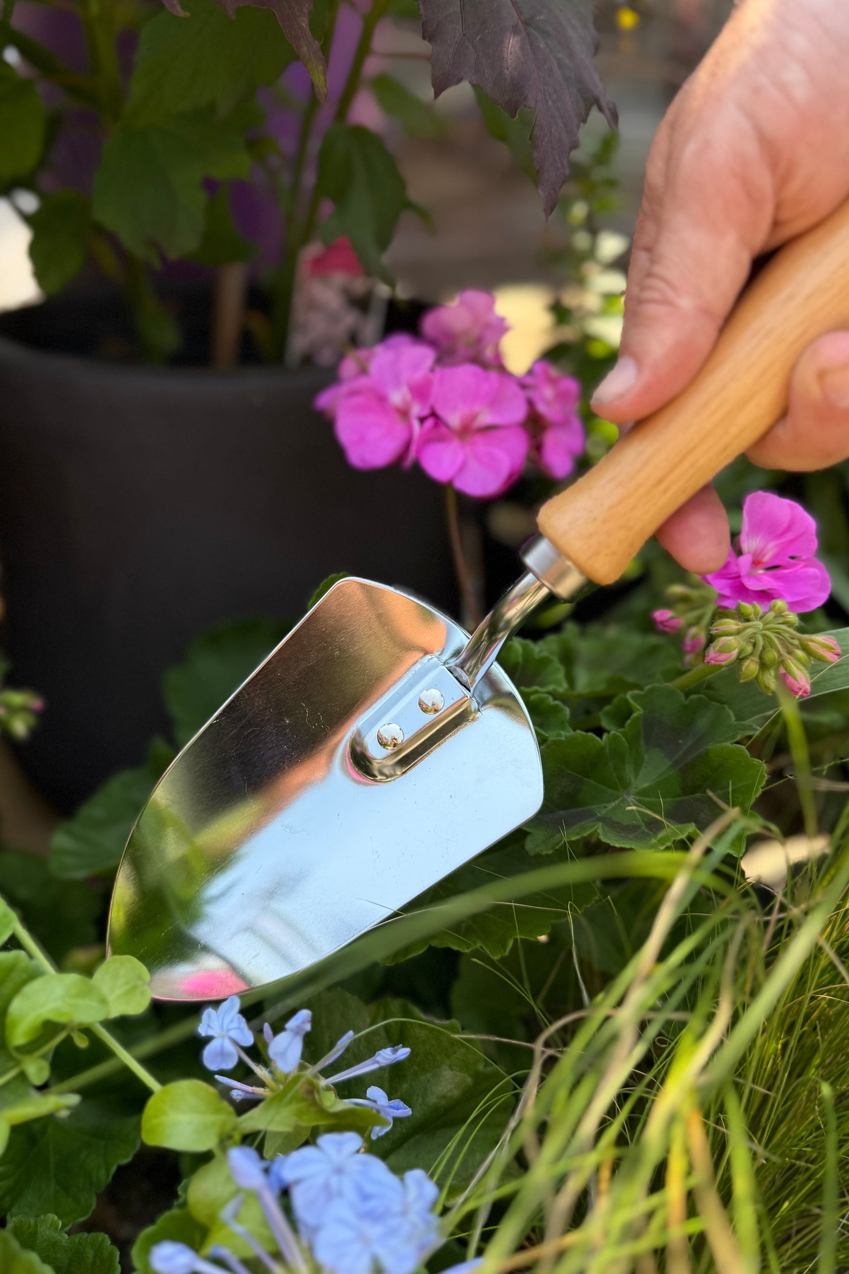 Yeoman Chrome Garden Trowel up close in the garden ©Sprout Home