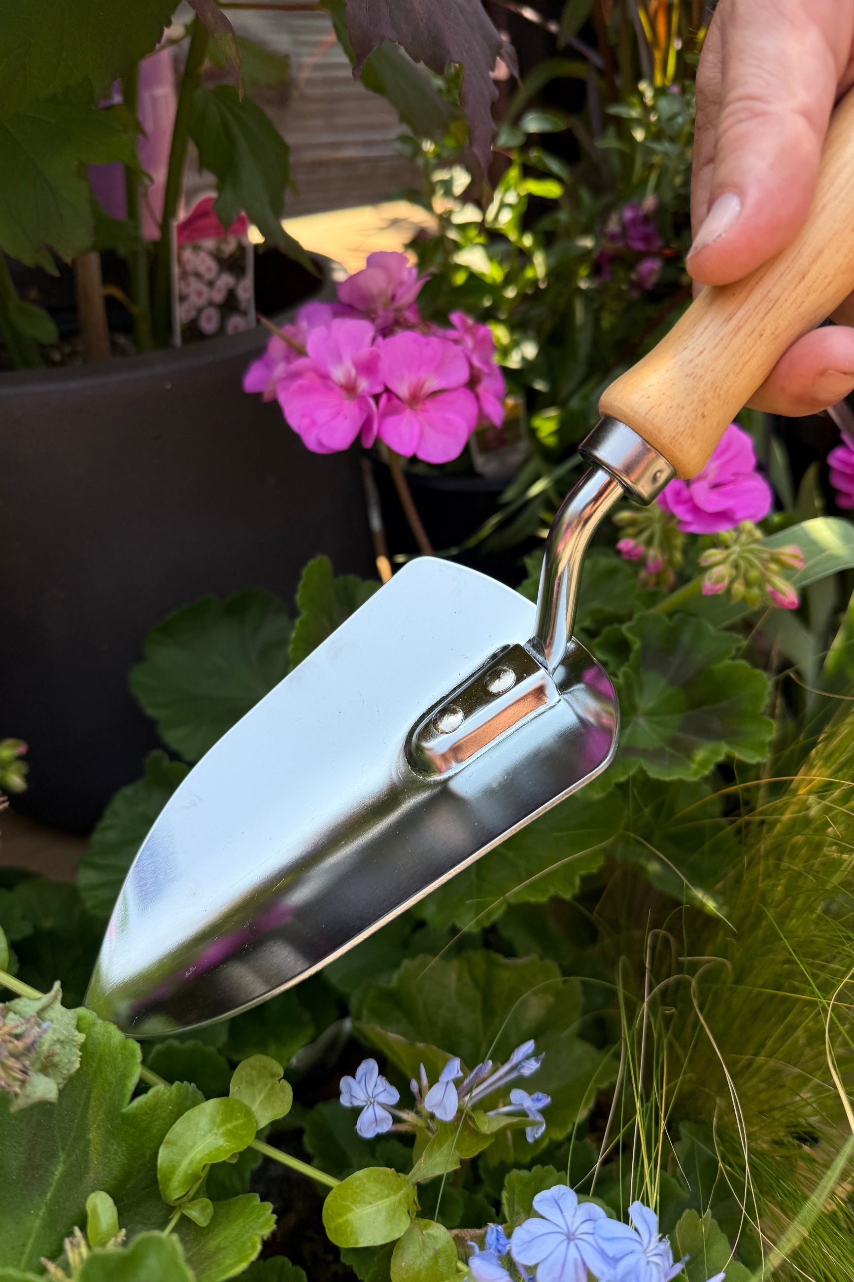 Yeoman Chrome Garden Trowel up close in the garden ©Sprout Home