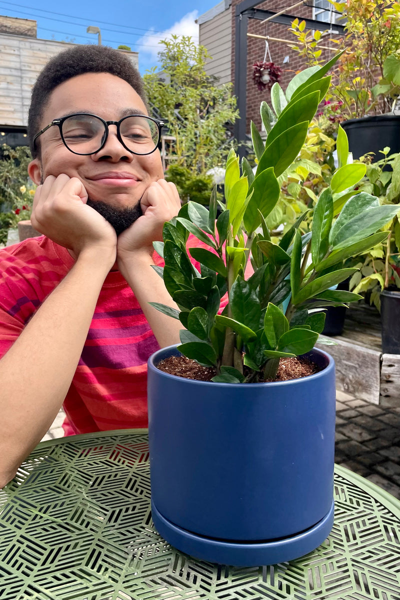 Staff member Tristen with his plant pick of a ZZ plant potted in a blue cylinder named "Miles Davis"