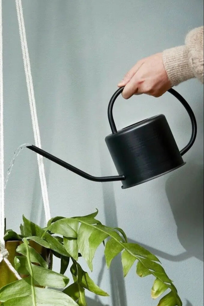 black ancho watering can being held in hand pouring water in to a plant ©Creation Jute USA