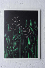 Chelsea Grasses card by Stengun Drawings  on white.