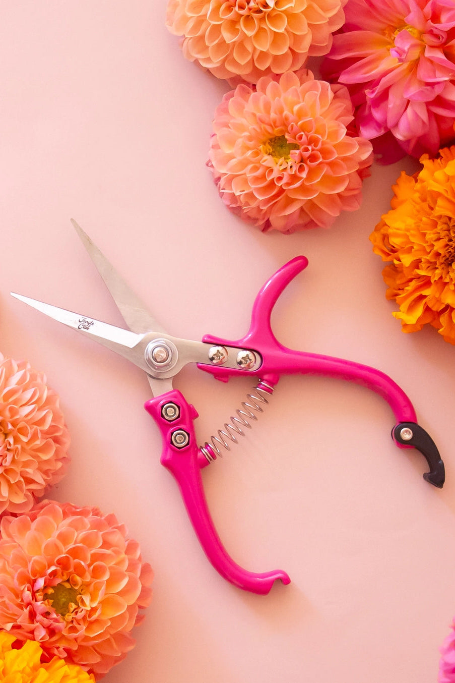 Pink floral shears surrounded by orange and pink flowers on a pink background ©Jungle Club