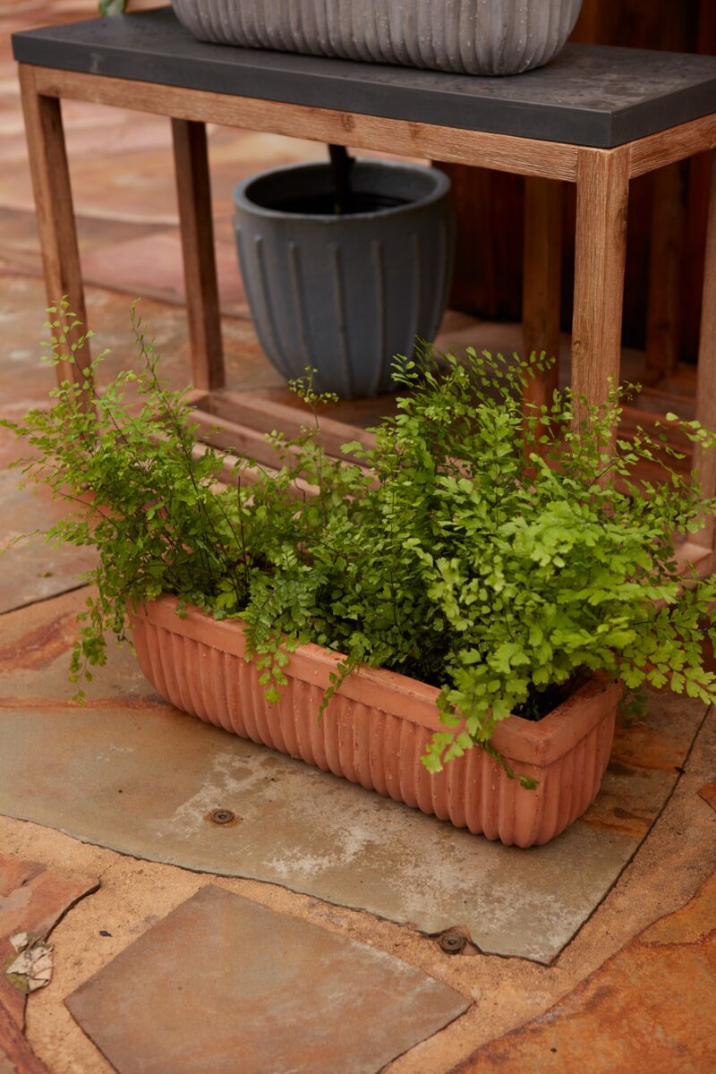 Tyndall Planter Small Terracotta with ferns and surrounded by gray Tyndall planters ©Accent Decor