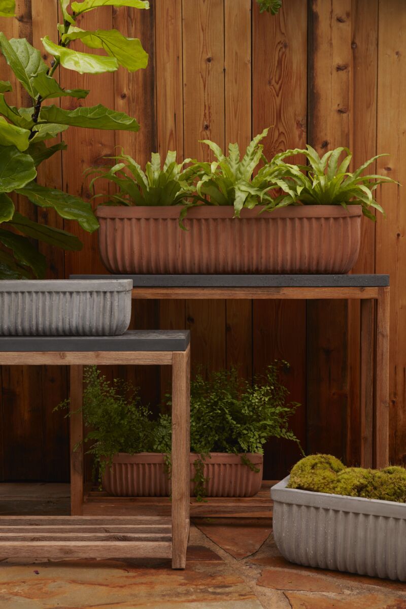 Tyndall Planter Small Terracotta with ferns and surrounded by gray Tyndall planters ©Accent Decor
