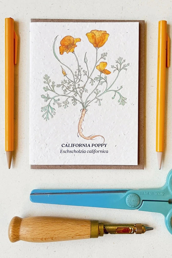 The California Poppy card showing the front of the card laying flat and surrounded with writing implants and a pair pf scissors