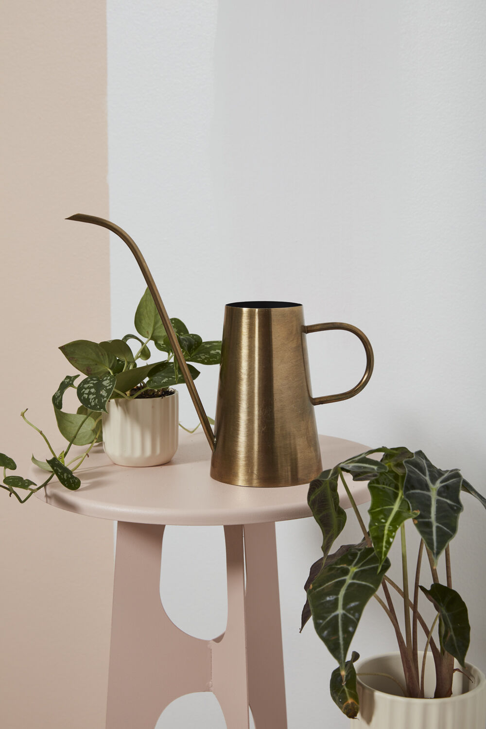 Bronze colored Antalya watering can on a small round table with plants against a light pink wall. ©Accent Decor