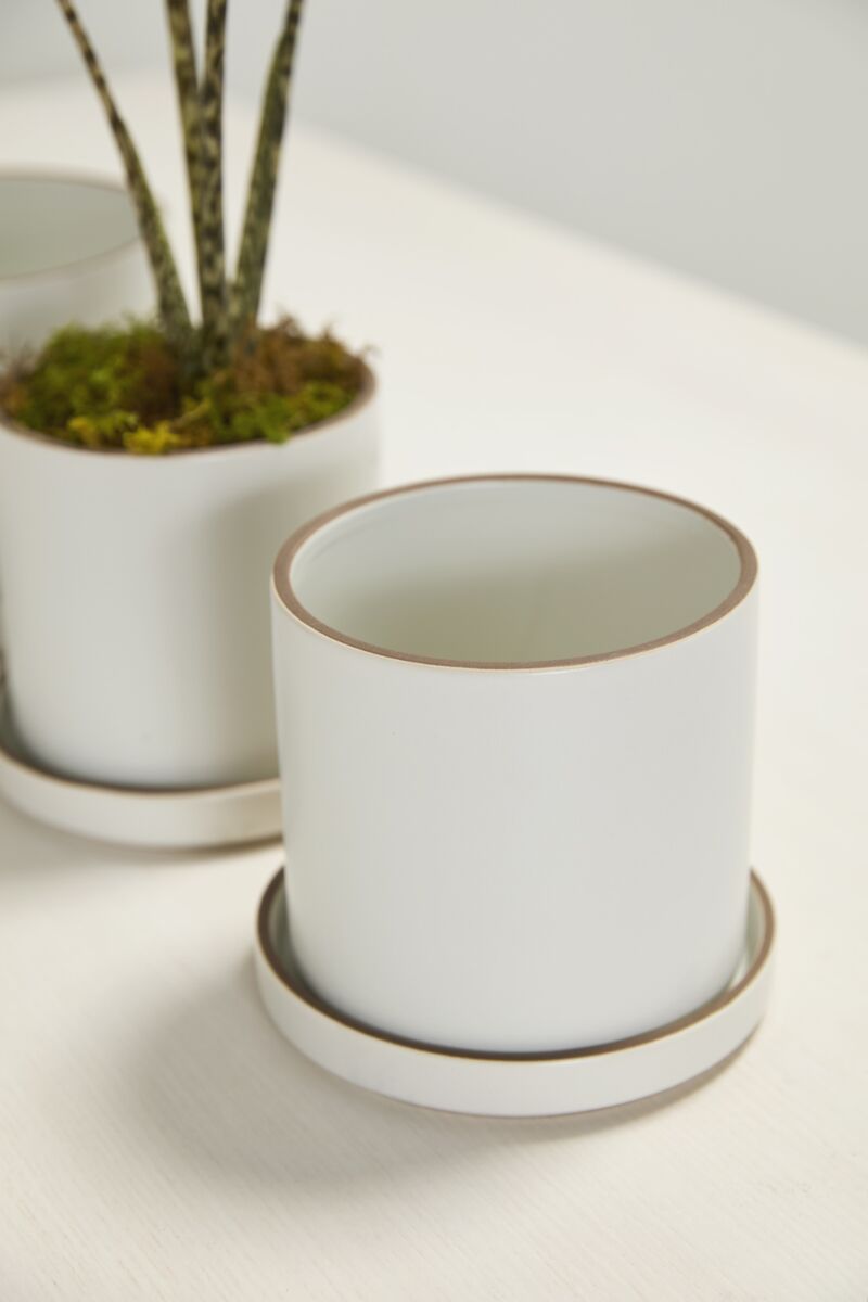 Two white ceramic Auhor planters with brown rims on a light surface. ©Accent Decor