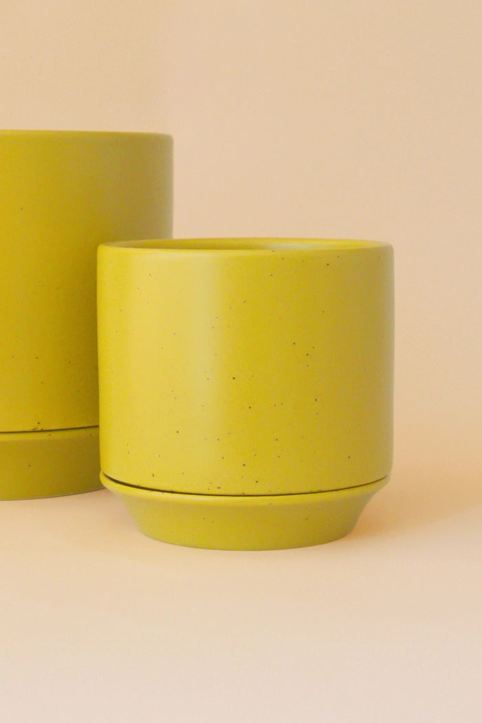 Two Parker Planter Palm Speckle with Trivet 6.75" yellow ceramic pots on a beige background ©Jungle Club