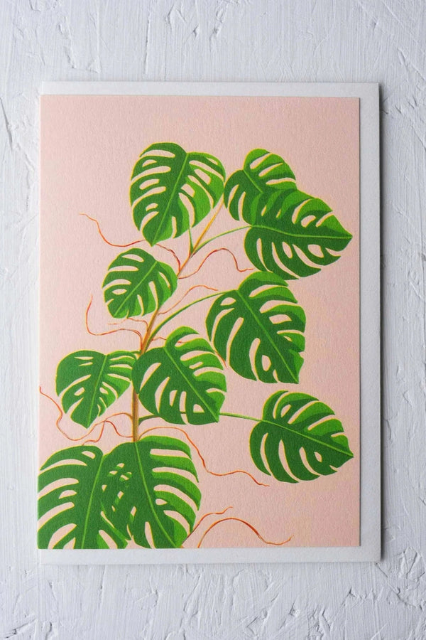 Monstera greeting card by Stengun Drawings showing the front of the card with monstera leaves on pink. 