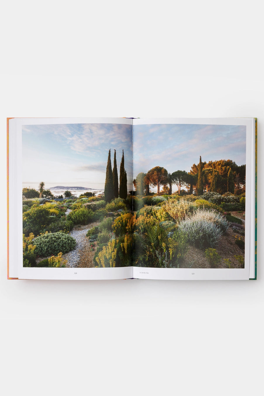Open Wild: the Naturalistic Gardenbook showing a scenic landscape with trees and a path. ©Phaidon