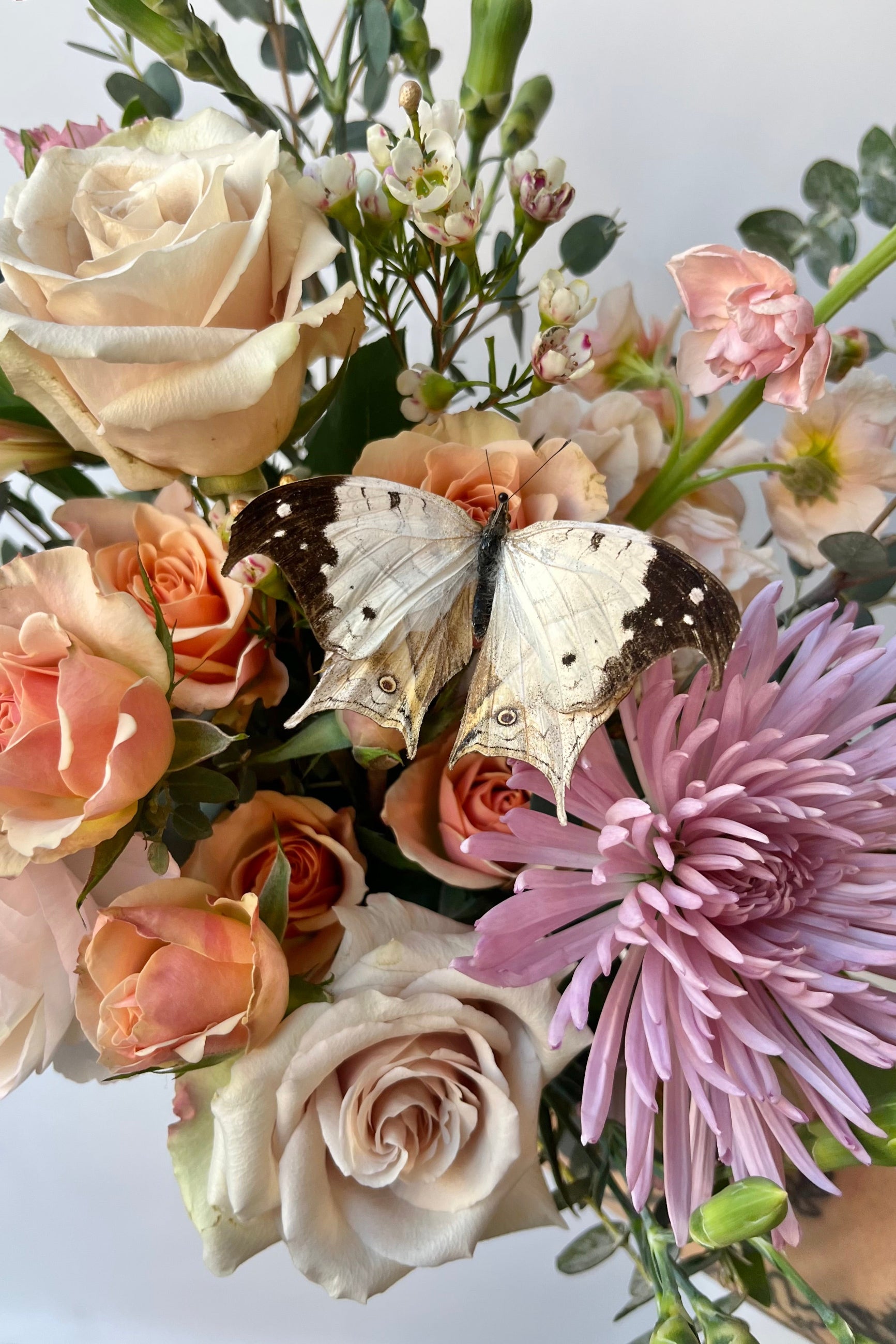 A detail image of a custom Sprout Home Floral arrangement with a real with butterfly ©Sprout Home #size_$100