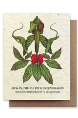 Jack in the Pulpit seeded at showing the front of the card