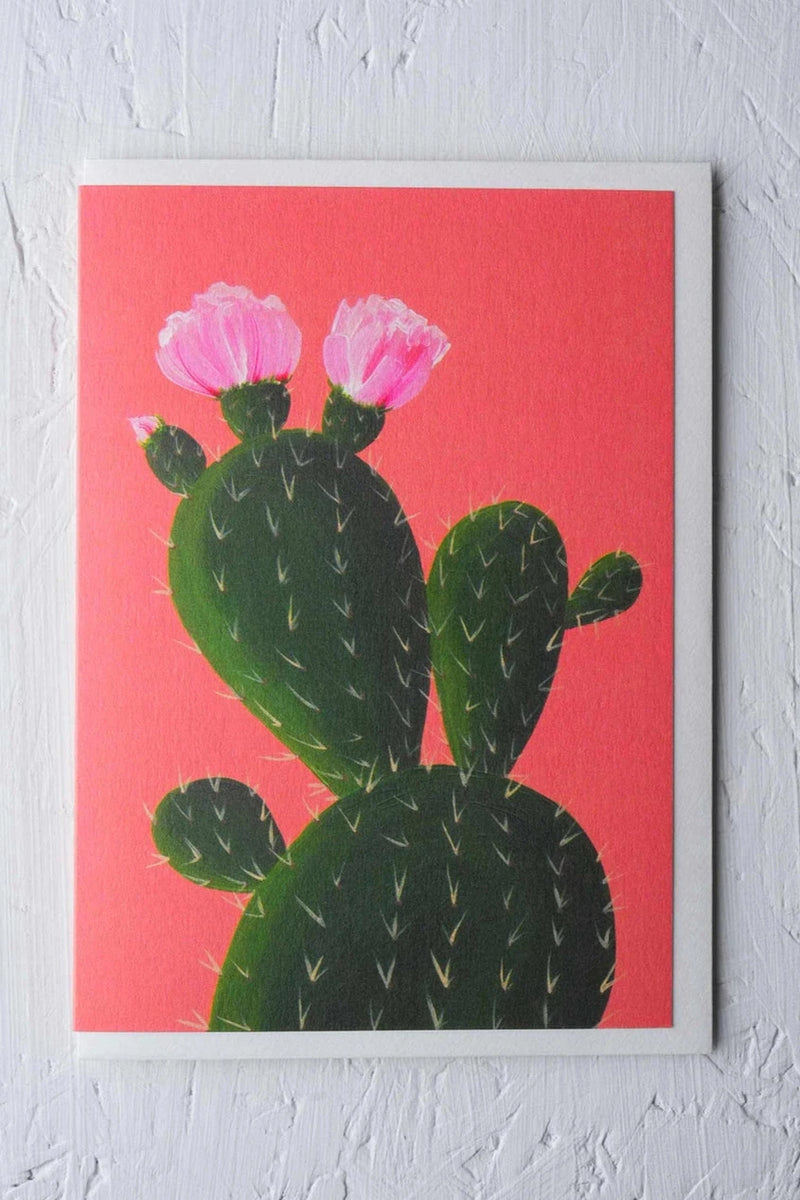 Cactus on Orange card by Stengun Drawings on white.