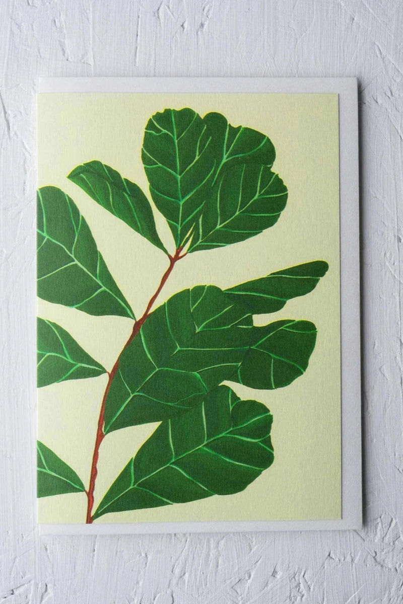 Lyrata greeting card by Stengun Drawings showing the green ficus leaves on light yellow 