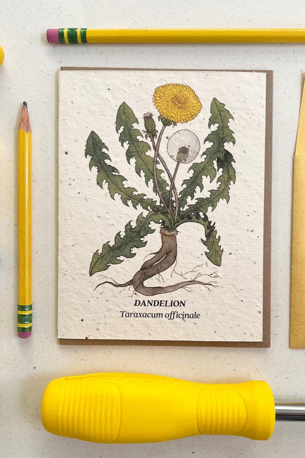 Dandelion plantable card showing the front of the card with the yellow flowers in dandelion laying flat with pencils and a tool surrounding it. 