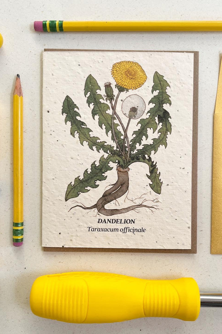 Dandelion plantable card showing the front of the card with the yellow flowers in dandelion laying flat with pencils and a tool surrounding it. 