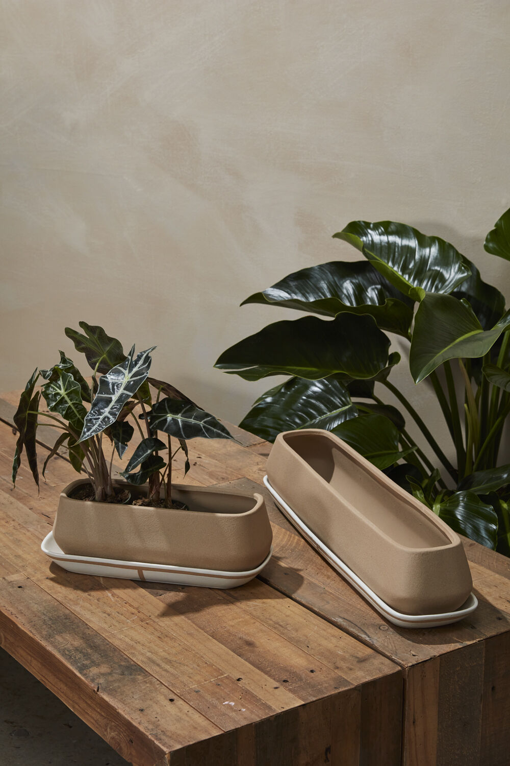 The two sizes of Dublin planters on a wood table