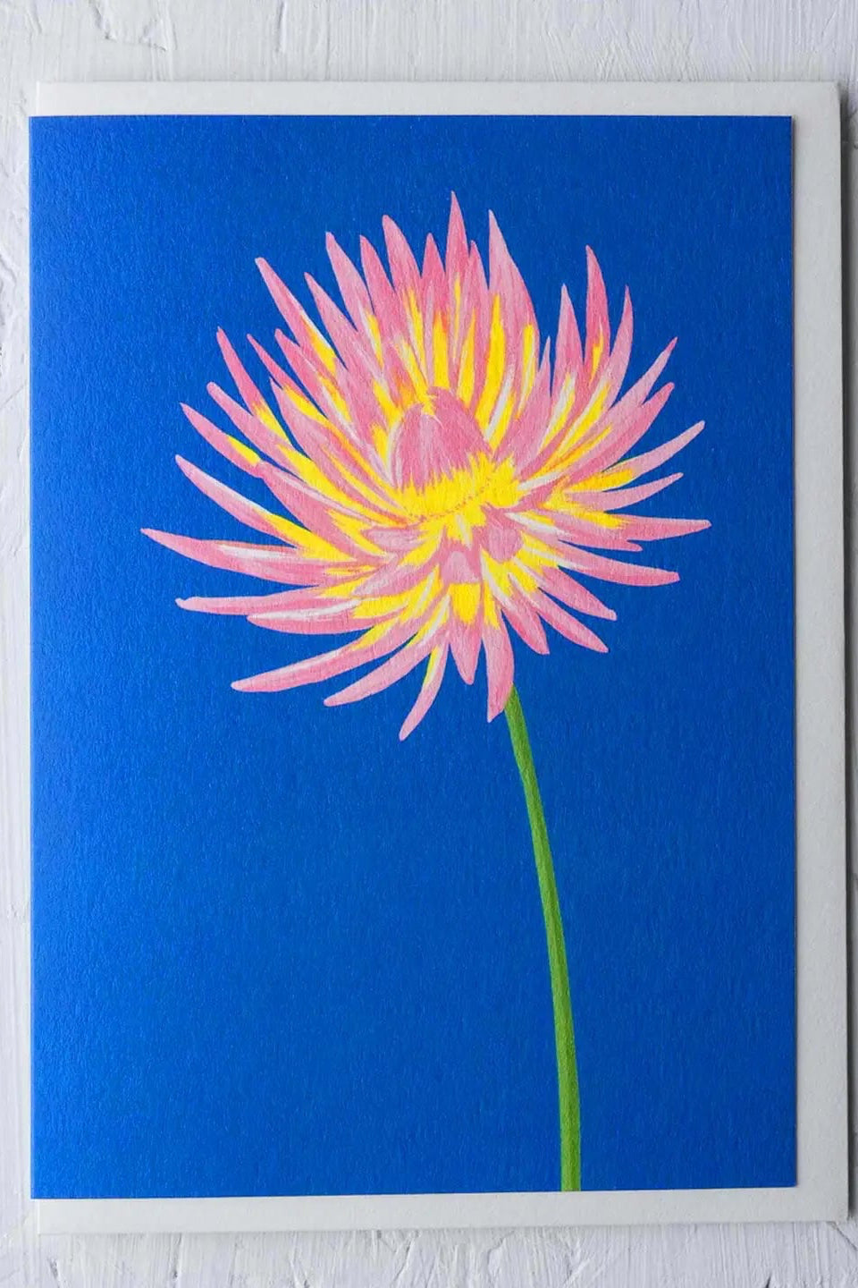 Cactus Dahlia Greeting Card pink flower on a blue background ©Stengun Drawings