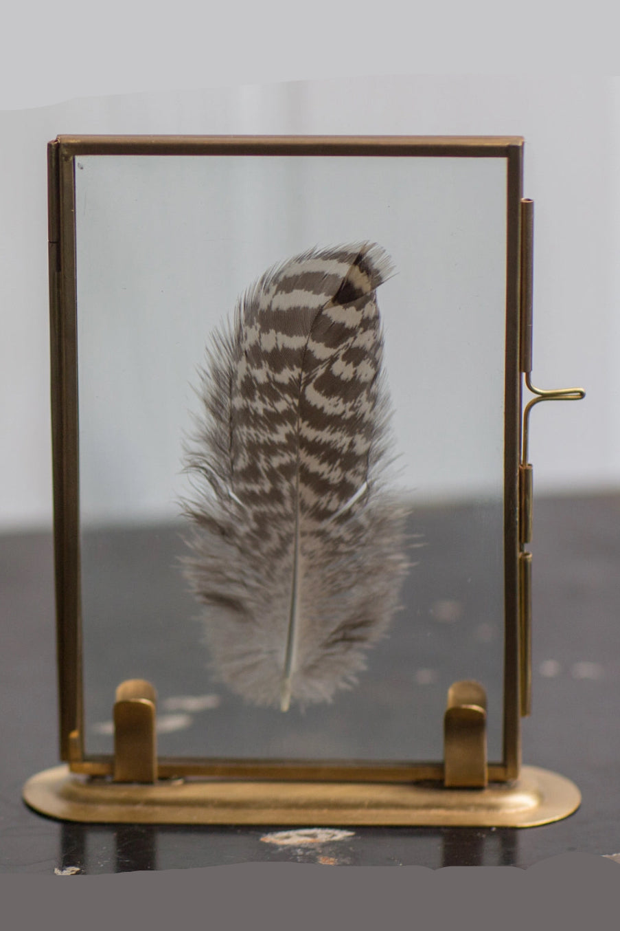 Feather inside a glass with a brass frame on a reflective surface ©Vagabond Vintage