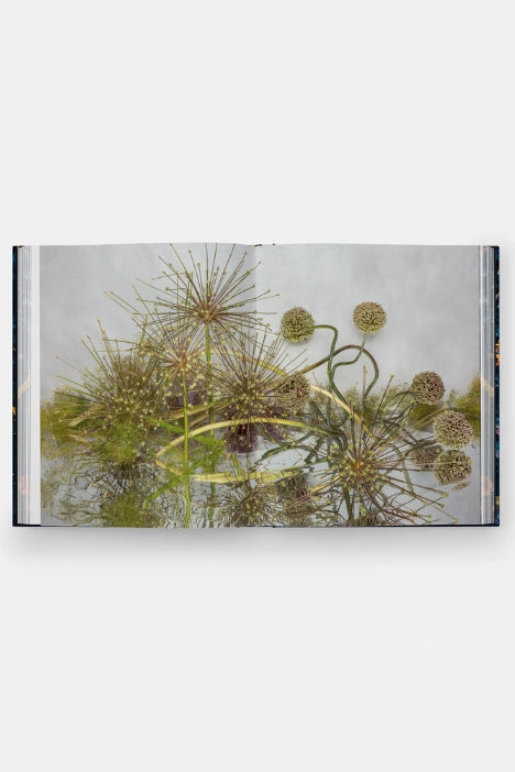Emily Thompson Flowers Book  with a photograph of plants and water on a white background ©Phaidon