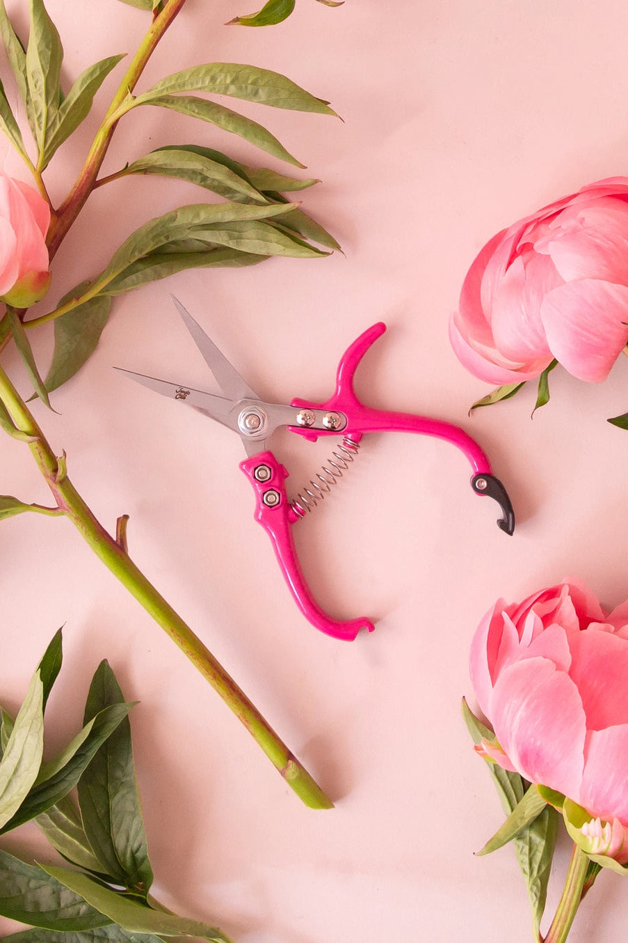 Pink floral shears on a pink background with pink flowers and green leaves. ©Jungle Club