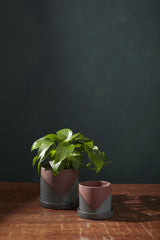 Two sizes of El Cerro Pots on a wood table and dark gray background. The larger El Cerro is potted with a Pothos.