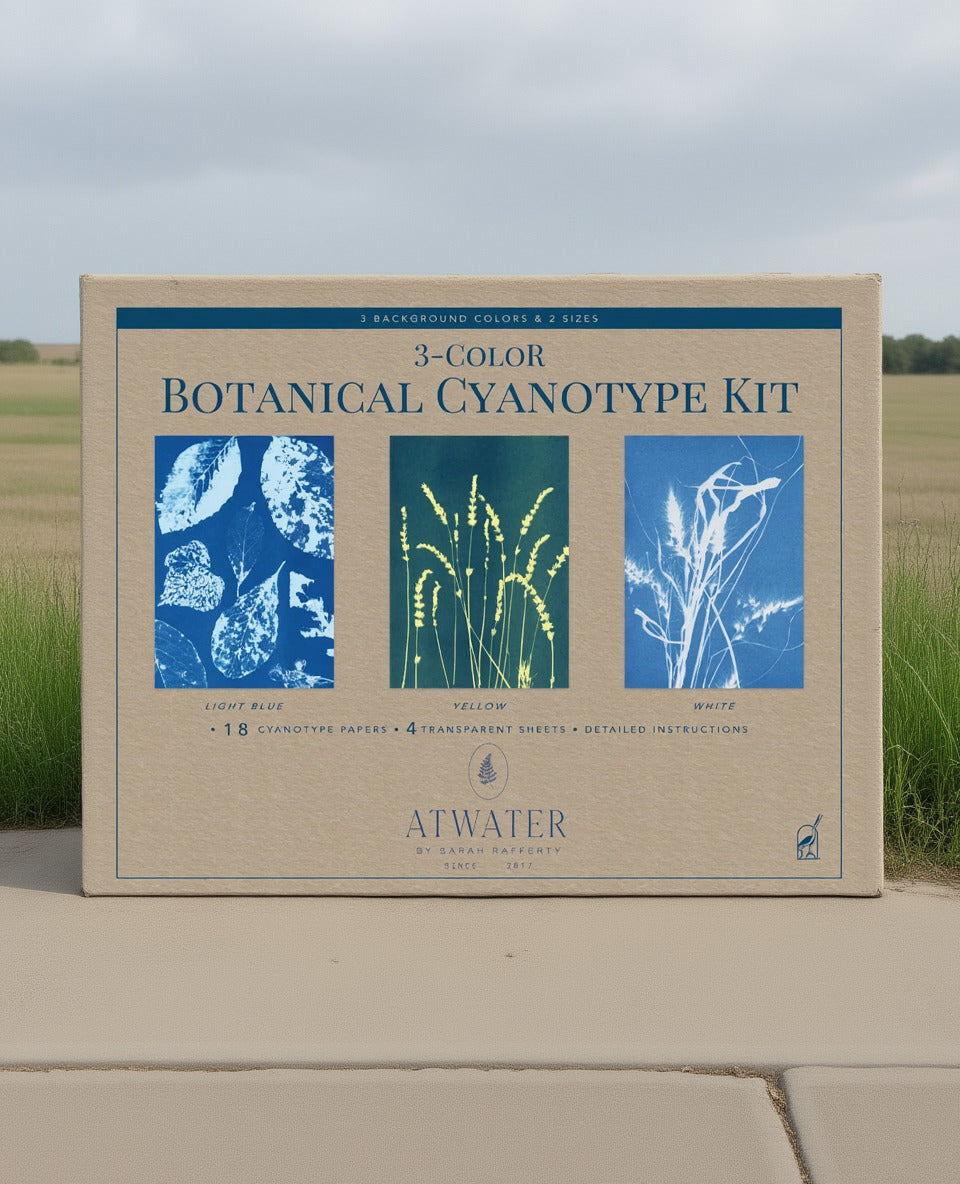3-Color Botanical Cyanotype Kit packaging with botanical illustrations on a beige background ©Sprout Home