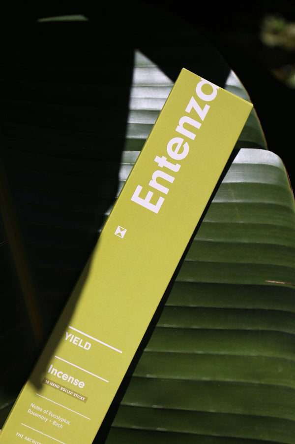 Entente Stick Incense by Yield packaging displayed in front of a palm leaf.