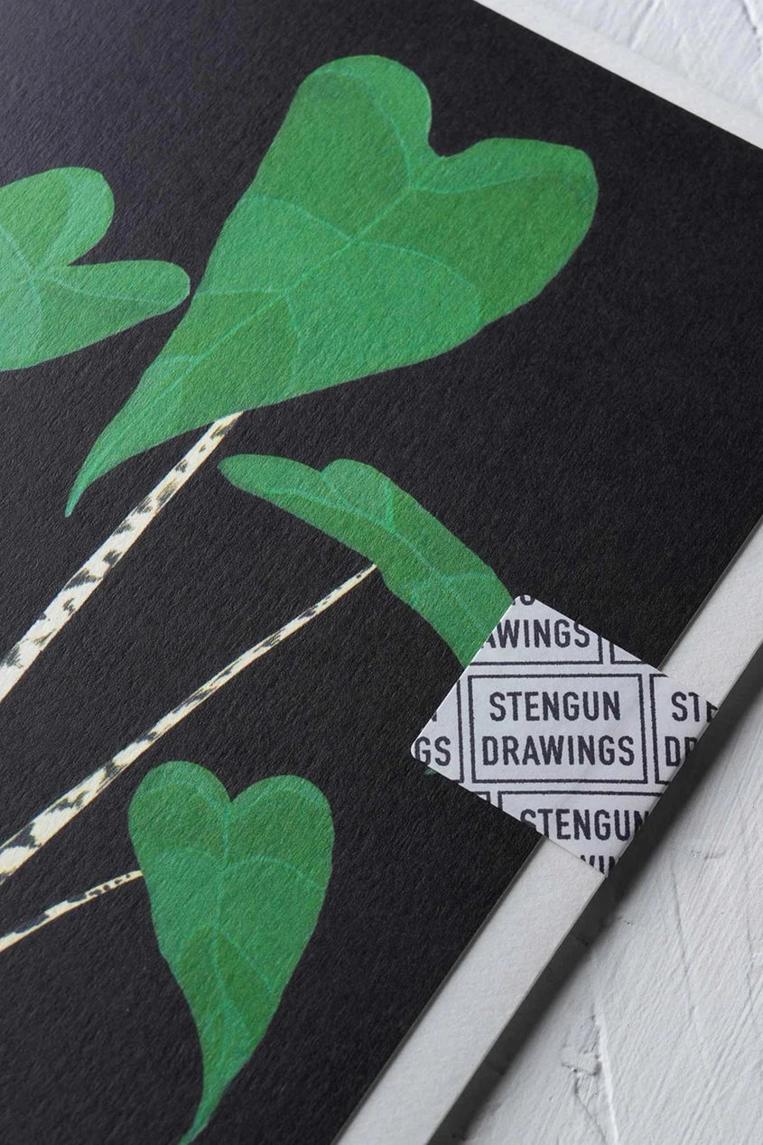 Corner of the Alocasia Zebrina card up close showing the stengun drawings clasp.
