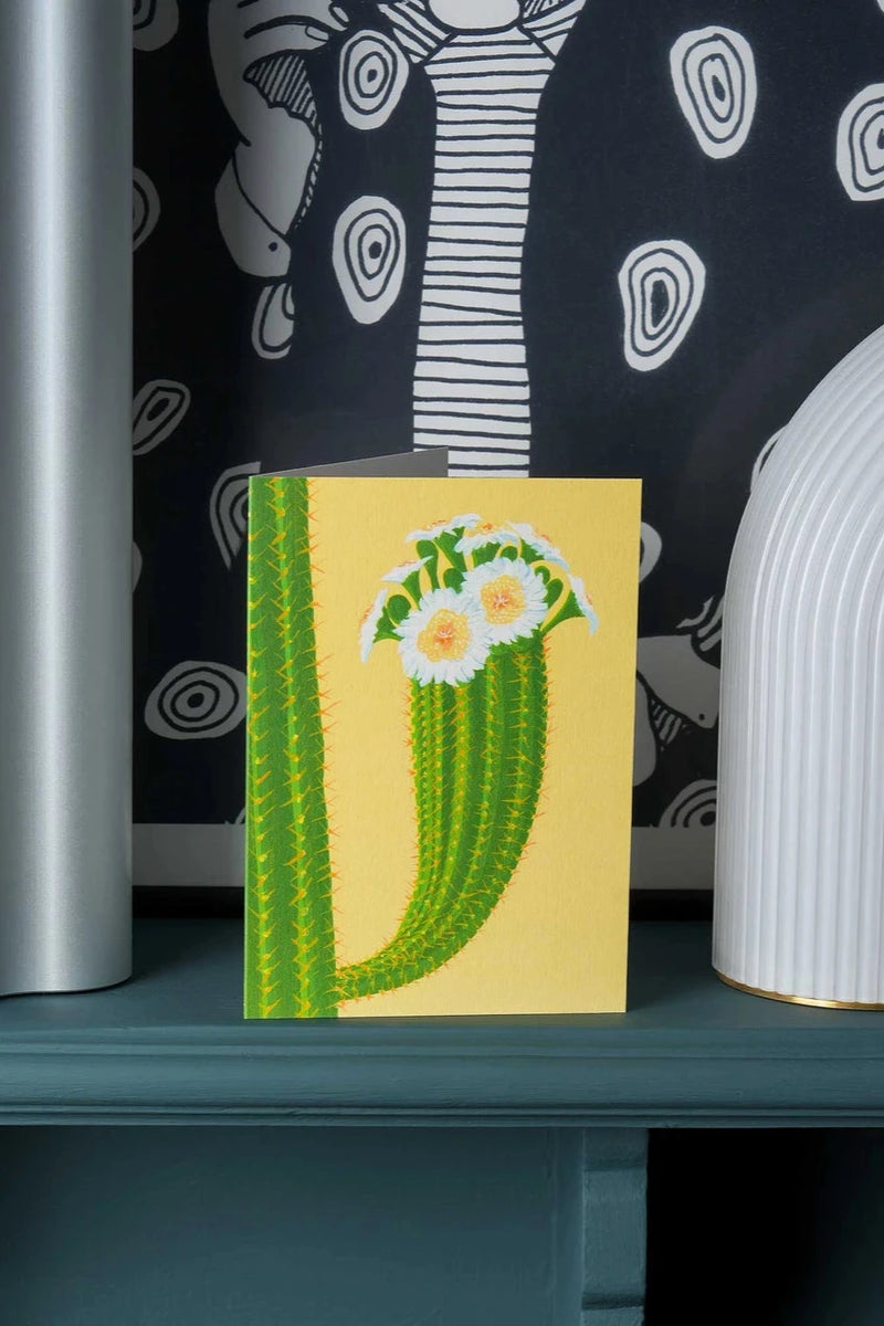 Cactus on Yellow card by Stengun Drawings  on a shelf with black and white wall paper in the background. 