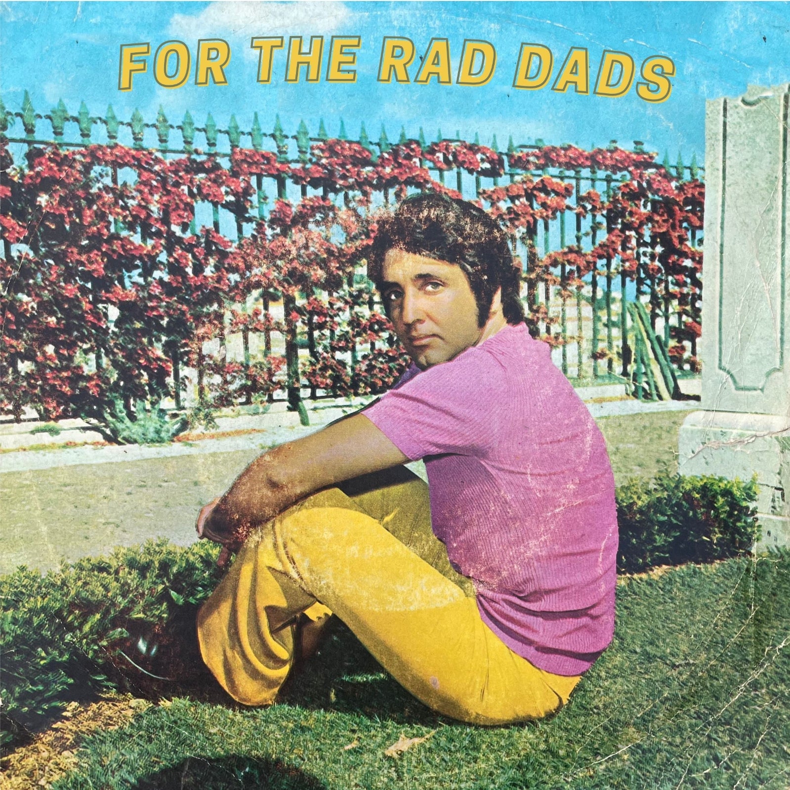 Fathers Day gifts for chicago delivery or pick up The best gifts for Dad. What do I get my dad for fathers day?  A gift for my dad in Chicago. What do dads want? For cool dads