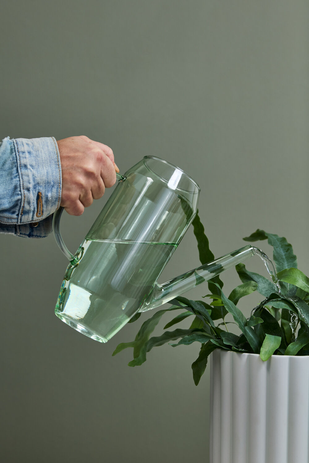 Person watering a plant with a clear Foray glass watering can against a plain background ©Accent Decor