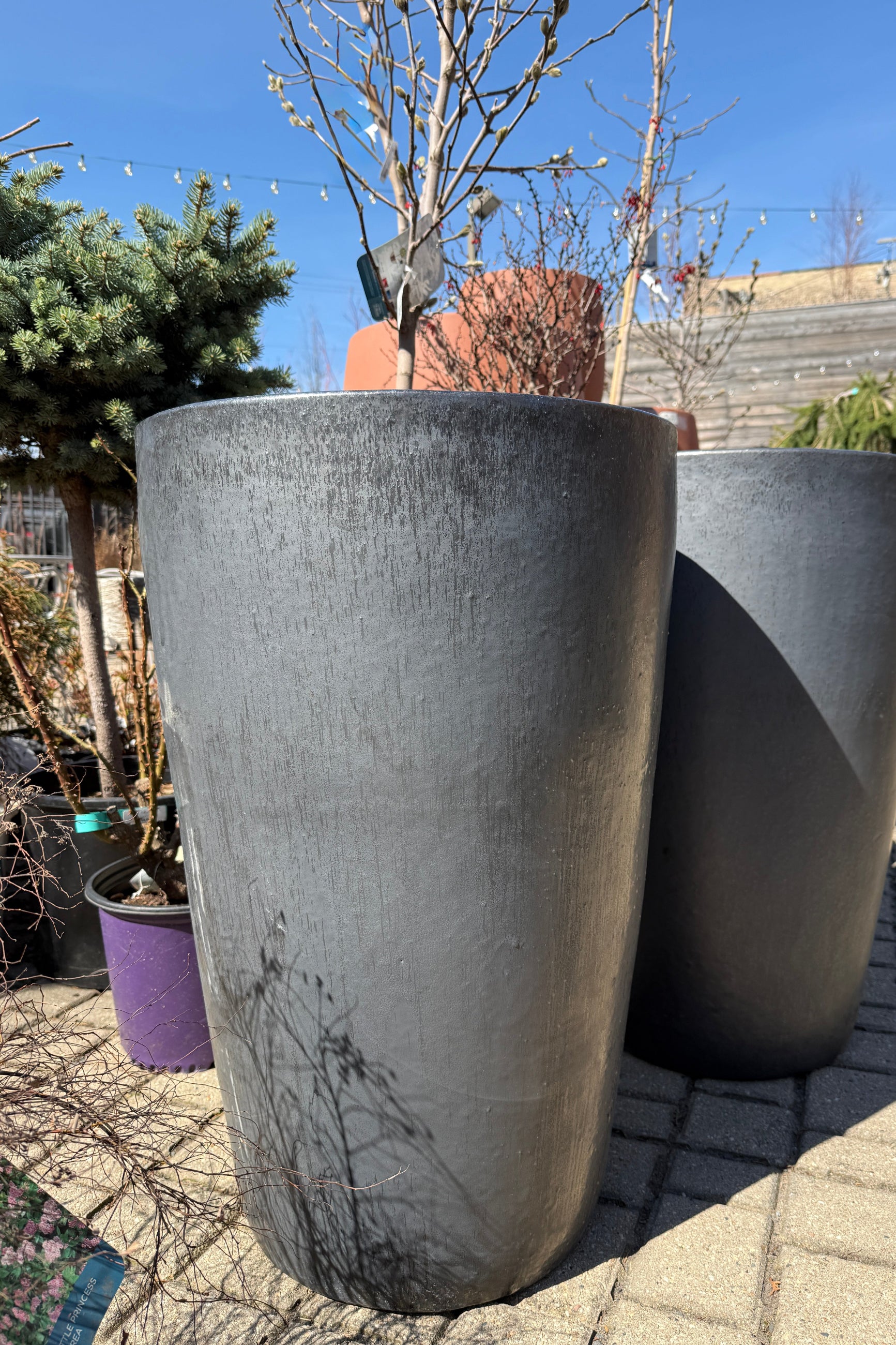 Graphite Tall Taper Planter Large and a clear blue sky in the background. ©Sprout Home