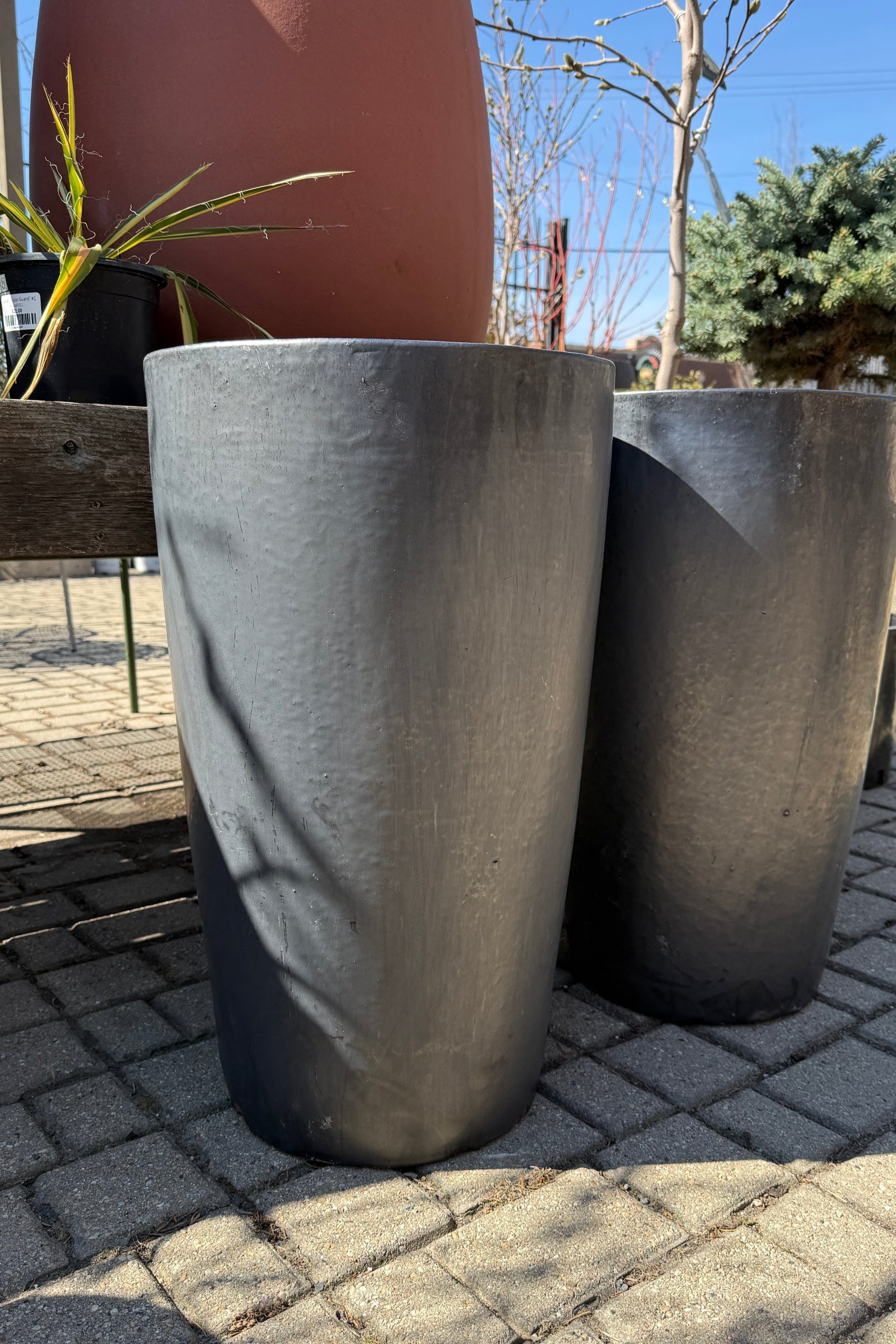 Graphite Tall Taper Planter Medium on a paved surface with a blurred background ©Sprout Home