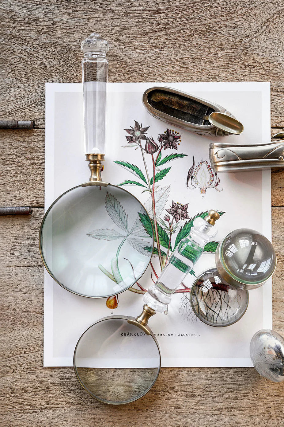 Decorative knobs and a magnifying glass on a botanical illustration with a wooden background ©Blue Ocean Traders