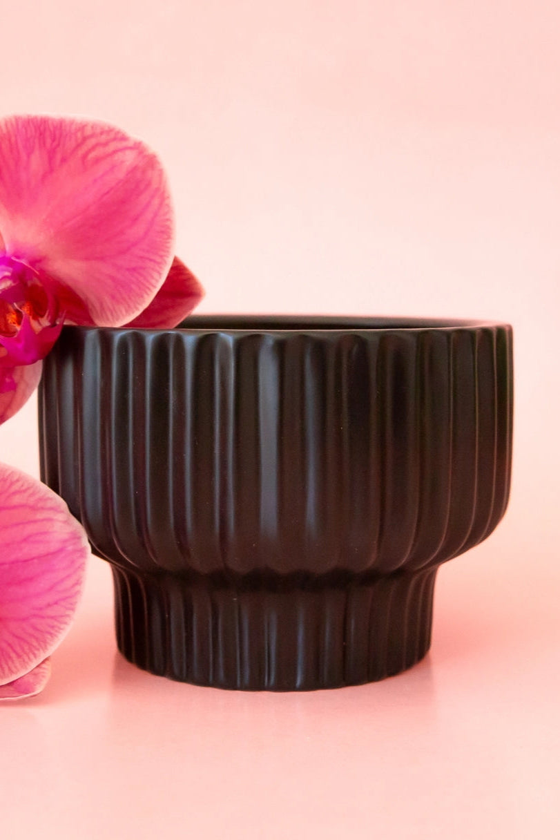 Presley Pedestal Planter Black ribbed pot with pink orchid on a pink background ©Jungle Club
